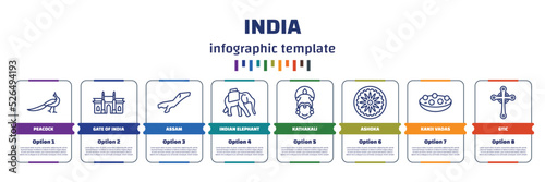 infographic template with icons and 8 options or steps. infographic for india concept. included peacock, gate of india, assam, indian elephant, kathakali, ashoka, kanji vadas, gtic icons.