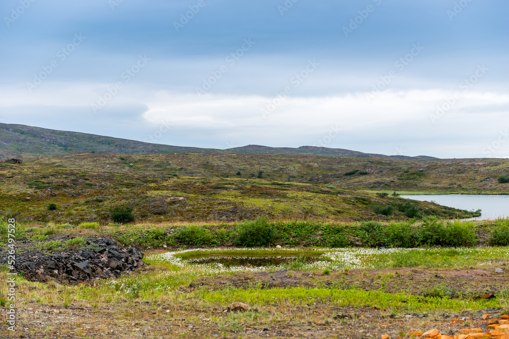 Polar landscape with granite stones and plants. North lake in the stone shore Polar landscape with granite stones and plants. North lake in the stone shore