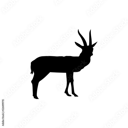 Vector illustration of black horned gazelle