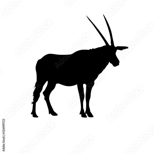 Vector illustration of a black long-horned antelope