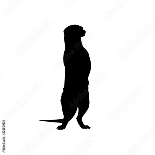 vector illustration of a black meerkat