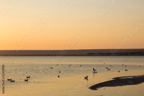 Sunset at The Magic Lake in Fayoum - Egypt
