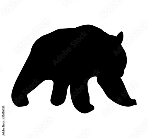vector illustration of a black bear