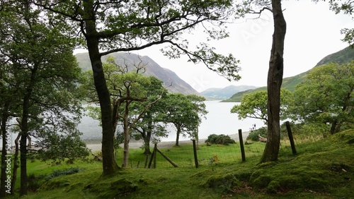 Trees above the lake: Buttermere, UK