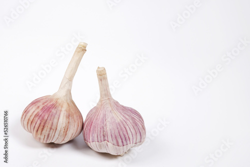 Two heads of young garlic on a white background.The concept of agriculture.Natural, healthy, environmentally friendly food for people.Cultivation of winter varieties of garlic on the plantation.