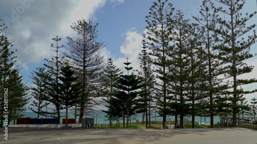 A view of tall trees on the coast of Scarborough beach in Perth, Western Australia