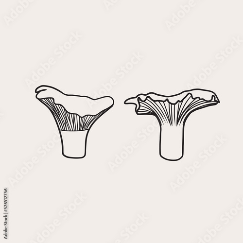 Simple magic mushrooms. Line art mushroom, vector art.
