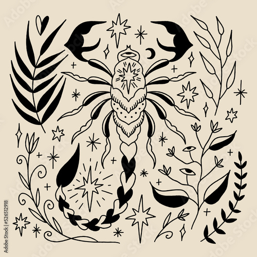 Floral Scorpio Zodiac vintage sign vector and jpg printable image, unique clipart illustration, editable isolated details. Perfect for poster or postcard template, t-shirt clothes design, digital