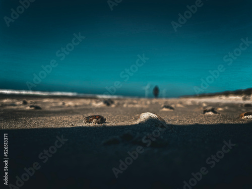 beach and sea