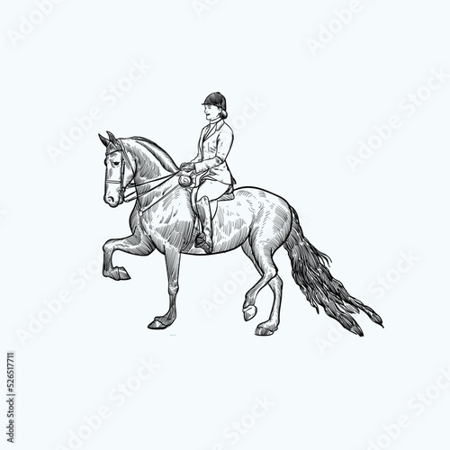 Vintage hand drawn sketch dressage horse riding sport