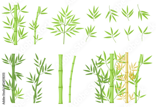 Bamboo green decoration elements in flat style. Vertical borders from stems, isolated leaves and sticks and fresh natural plant. Detailed bamboo shoots set