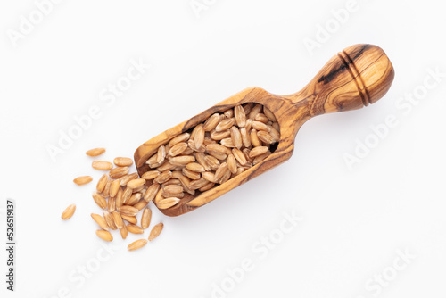 Scoop with wheat grains and spikelets on white background.