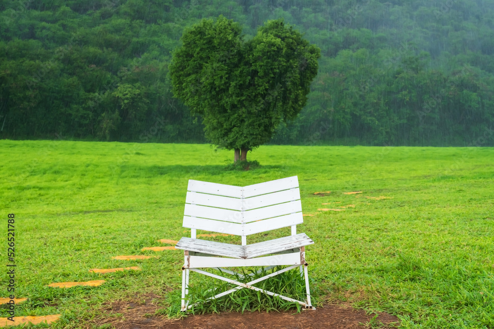 Couple chair and green tree with heart shape and heavy raindrop Couple chair and green tree with heart shape and heavy raindrop