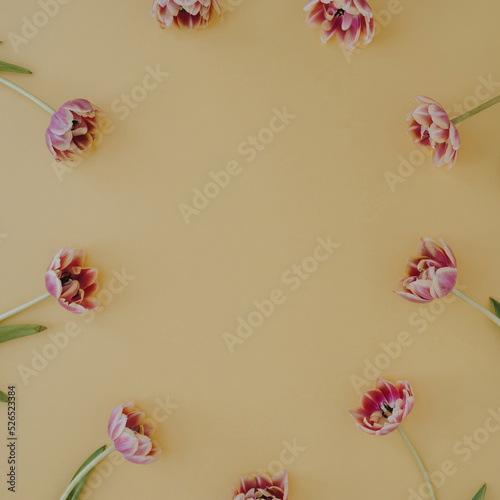 Aesthetic minimal floral composition. Blank frame of tulip flowers on pale pastel yellow background. Creative lifestyle, summer, spring concept. Copy space, flat lay, top view