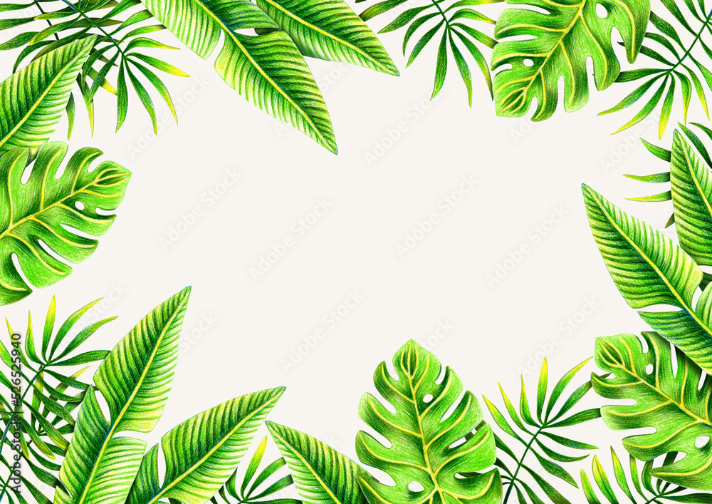 Horizontal background with green tropical leaves. Backdrop decorated of foliage of exotic plants. Natural border. Colorful hand drawn illustration. On light background.