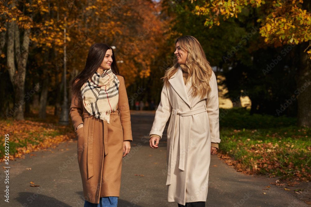 two cheerful young women are walking in the autumn park between yellow trees smiling and chatting two cheerful young women are walking in the autumn park between yellow trees smiling and chatting