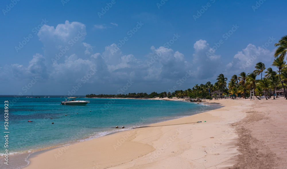 Idyllic Beach In the Domincan Republic