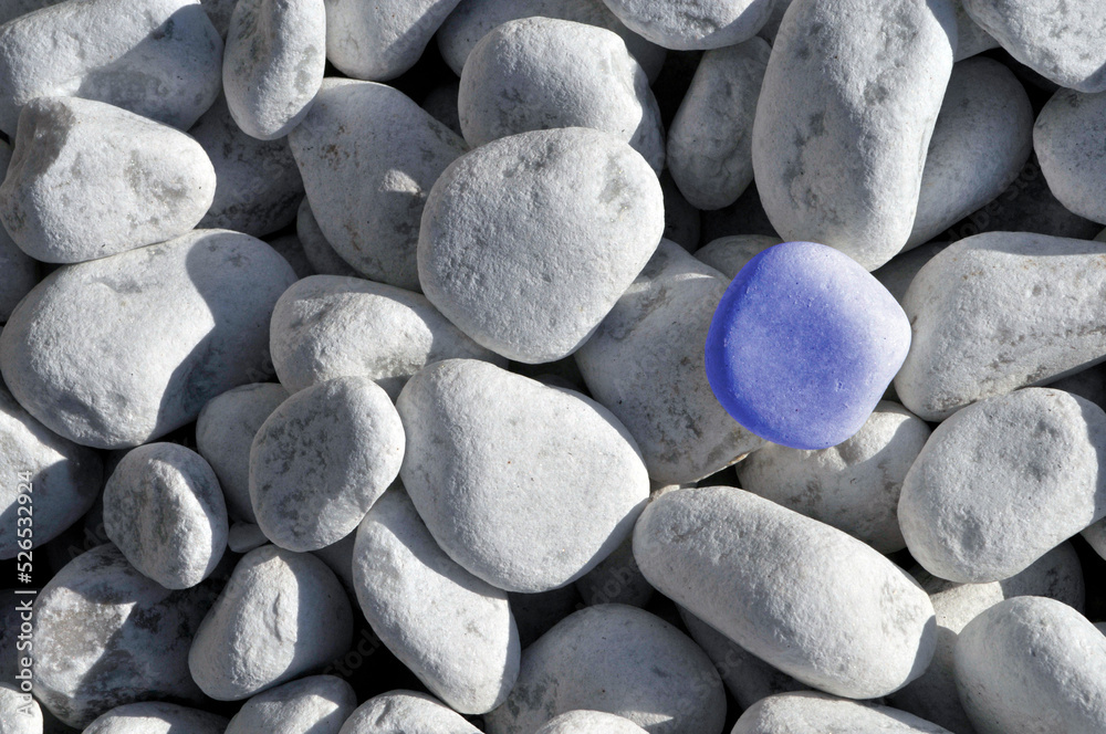 white river stones with one blue stone - concept of difference and singularity
white river stones with one blue stone - concept of difference and singularity