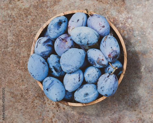 Purple fruits of a Stanley prune plum. Plum fruits variety Stanley. Ripe plums in a wooden bowl outdoor on the grass. Concept of home gardening and harvesting
