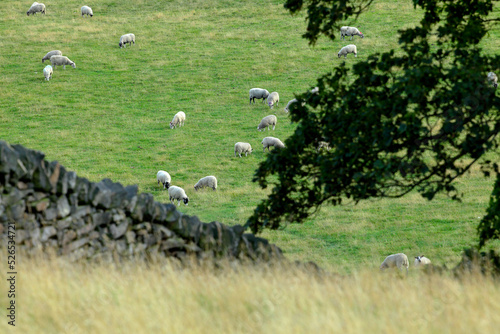 English Landscape Peak District