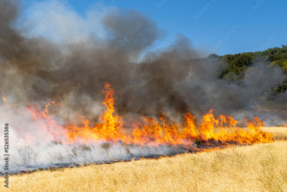 Grass Fire in California