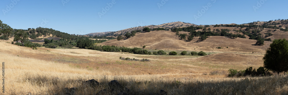 Obraz premium Grass Fire in California