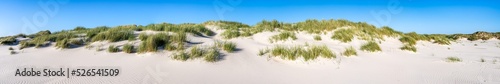 Obraz na płótnie Sandy dune beach as panorama background w salonie