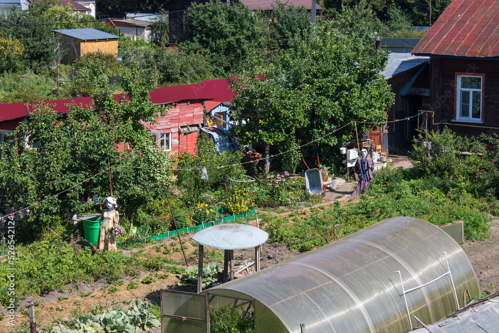 Obraz premium Yuryev-Polsky, Vladimir region, Russia - August, 17, 2022: an upper view of the city with plants and a greenhouse behind a fence on a clear summer sunny day