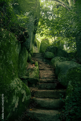 stairway to the cave