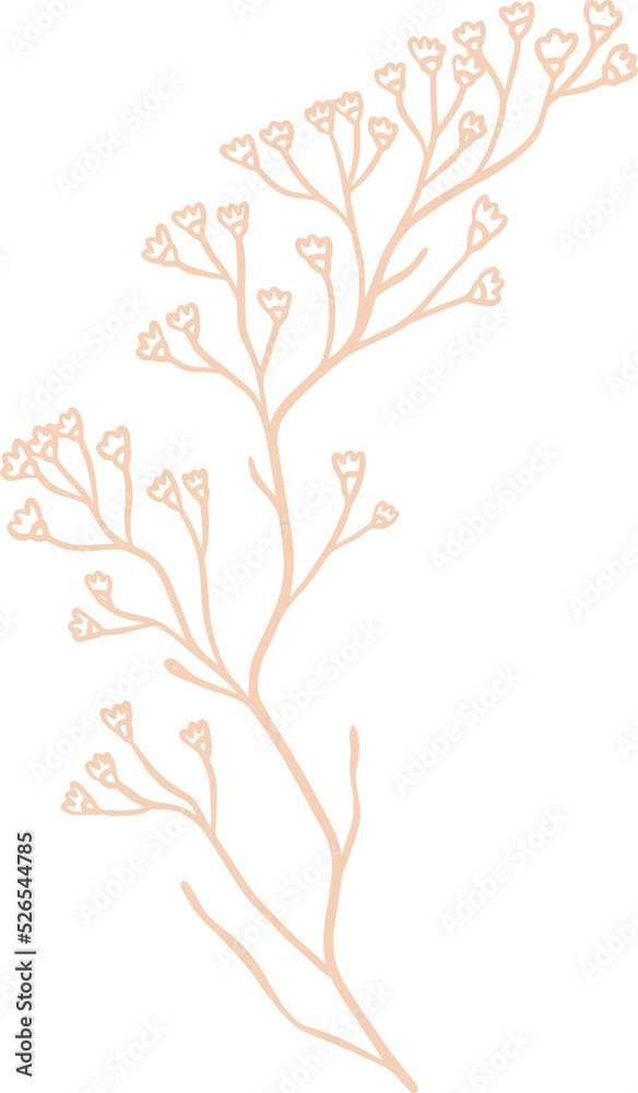 Limonium floral illustration for badges and logo. Stamp labels for tag with isolated limonium flower. Hand drawn natural for simple rustic design element.	