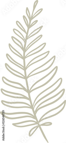 Organic fern illustration and badges logo template. Set of Minimalist stamp labels for tag with isolated fern leaves. Collection of hand drawn natural sign for simple rustic design.