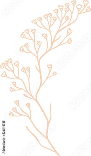 Limonium floral illustration for badges and logo. Stamp labels for tag with isolated limonium flower. Hand drawn natural for simple rustic design element. 