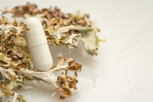medicine capsule in moss on a white isolated background close-up