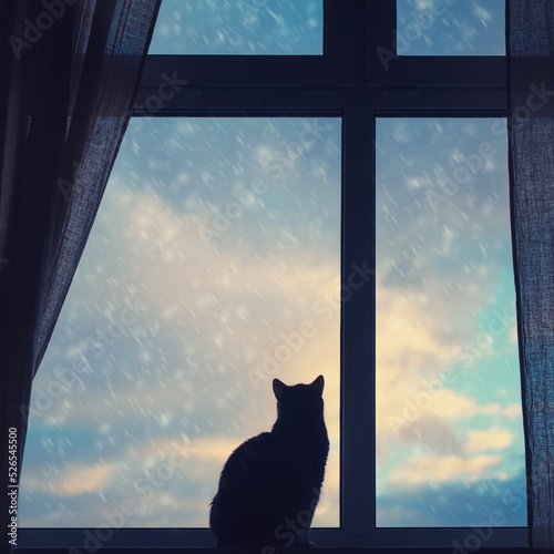 Silhouette of a pet at the window with snowfall with a cloudy sky