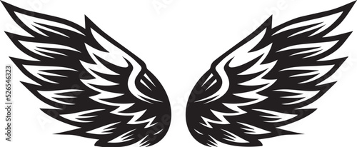 Wings vector illustration on a white background
