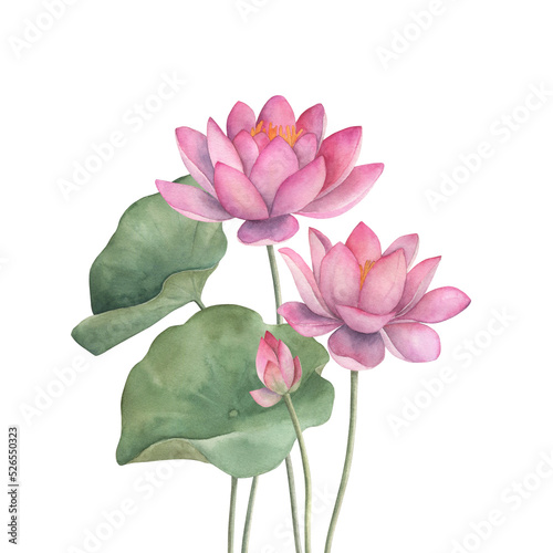 Floral composition with lotus. Hand draw watercolor isolated  illustration on white background