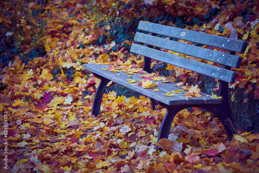 Park bench covered with leaves in Furth Germany during autumn season. Park bench covered with leaves in Furth Germany during autumn season.