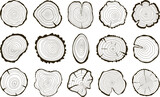 Wood trunk rings, circular stump wooden texture top view. Tree age ring, abstract log circles logo and contour. Cut of logs, racy trunks prints vector set