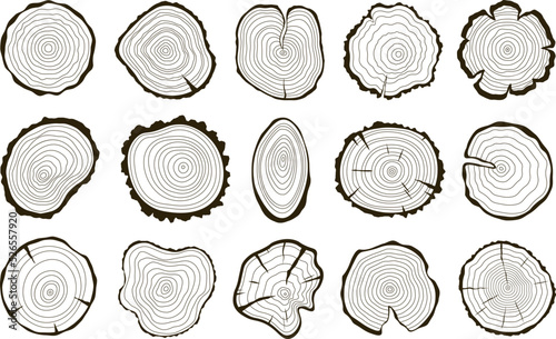 Wood trunk rings, circular stump wooden texture top view. Tree age ring, abstract log circles logo and contour. Cut of logs, racy trunks prints vector set photo
