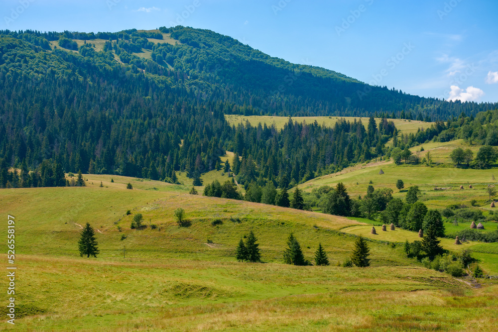 mountainous countryside landscape in summer. green rural scenery with grassy pastures and forested hills. wonderful sunny weather with blue sky