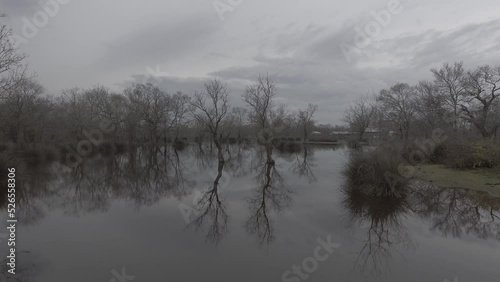Mossy bare twin trees in the middle of the pond on gray cloudy dark winter day with cool colors. There are huts on background in longoz forest national park.