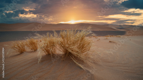 Fototapeta Naklejka Na Ścianę i Meble -  sunset sand