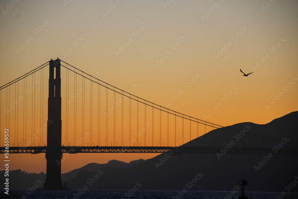 Obraz premium golden gate bridge