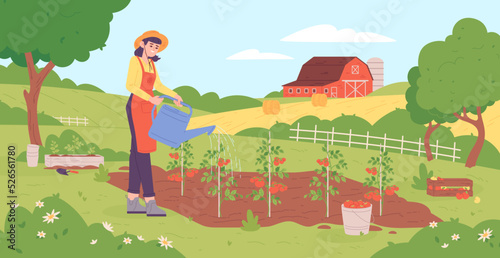 Woman watering tomato. Girl in hat growing vegetables in spring garden, caring gardening plant farming organic food tomatoes village horticulture