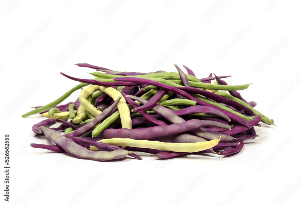 Isolated beans in a pile. Many long  raw beans in different colors and shapes randomly placed. Variety of Purple Peacock, Kentucky Blue and Golden Wax Beans. Selective focus.  White background.