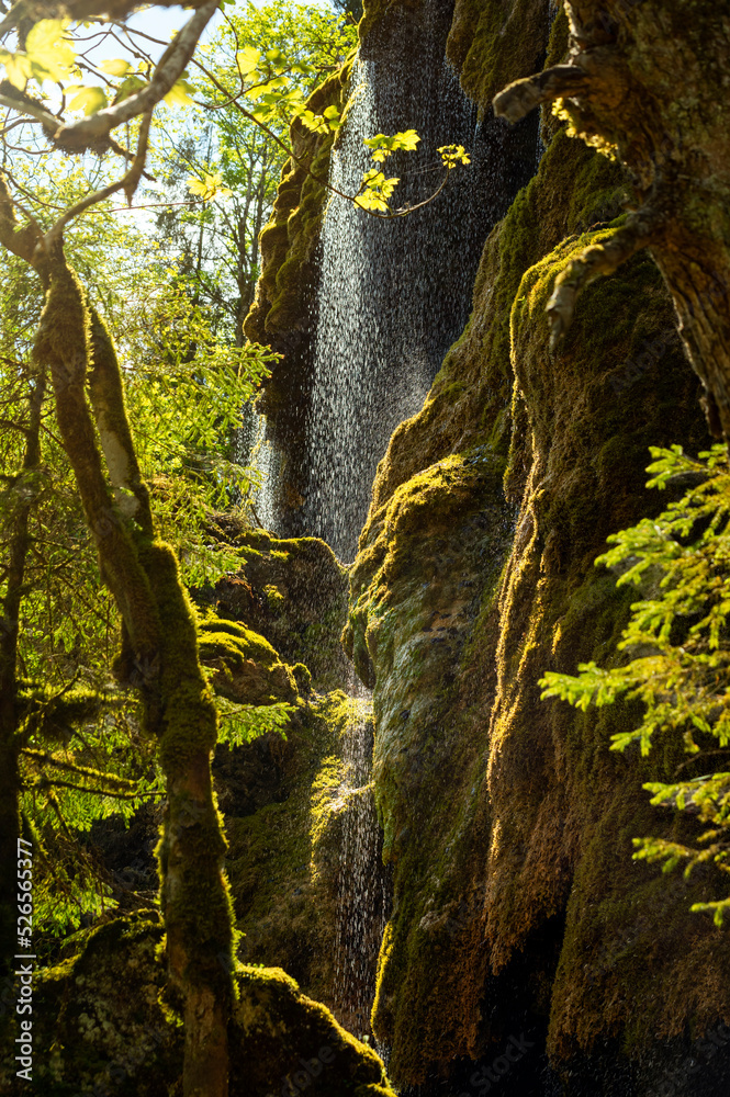 Fototapeta premium Frühlingsstimmung bei den Schleierfällen in der Ammerschlucht in Bayern am Flußufer mit Blick auf den Wasserfall in der Morgensonne 