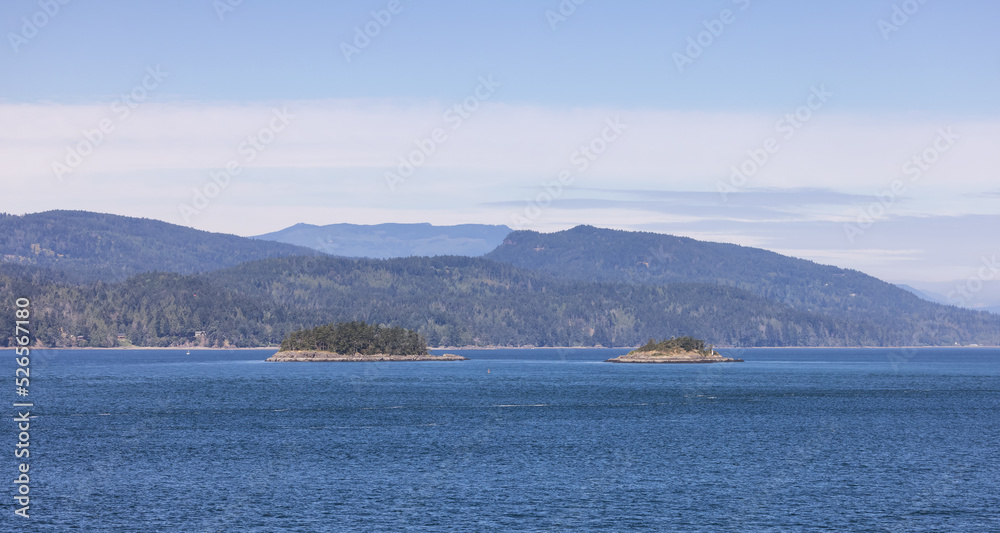 Fototapeta premium Canadian Landscape by the ocean and mountains. Summer Season. Gulf Islands near Vancouver Island, British Columbia, Canada. Canadian Landscape.