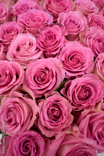 Beautiful pink flowers for holiday. Bouquet of pink live roses background.