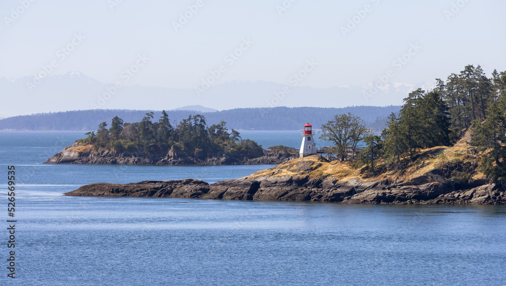 Canadian Landscape by the ocean and mountains. Summer Season. Gulf Islands near Vancouver Island, British Columbia, Canada. Canadian Landscape.