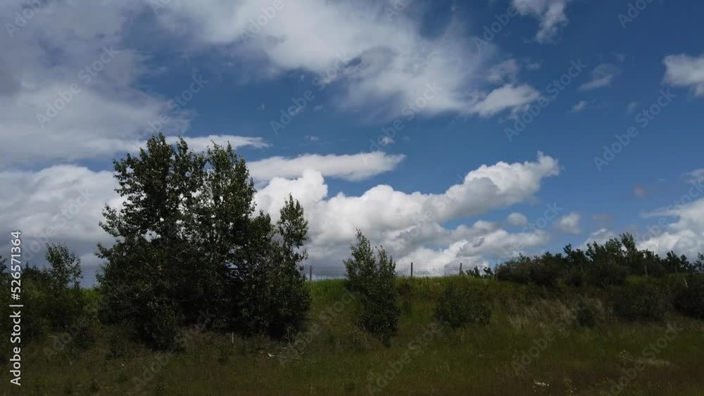 The Canadian Prairies in the summer The Canadian Prairies in the summer